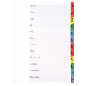 Jeu ntercalaires 12 touches de janvier à décembre format A4