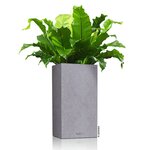 LECHUZA Jardinière CANTO Stone 30 LED High ALL-IN-ONE 30x30 cm