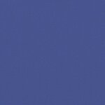 vidaXL Auvent latéral rétractable bleu 120x1200 cm