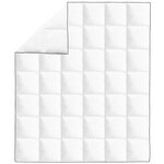 vidaXL Couette en duvet d'hiver 200 x 220 cm