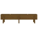 vidaXL Lit surélevé de jardin marron miel 160x30x38 bois de pin massif