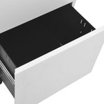 vidaXL Classeur mobile Gris clair 39x45x60 cm Acier