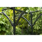 Nature Arche de jardin Métal 114x66x232 cm Noir