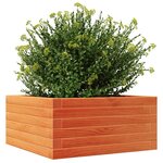 vidaXL Jardinière cire marron 50x50x23 cm bois de pin massif