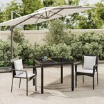 vidaXL Ensemble à manger de jardin avec coussins 3 Pièces Noir