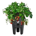 Pot à Fraises 33 - Noir Ø 33 x 42 cm - 100  recyclé