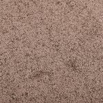 vidaXL Paillasson Marron 40x60 cm