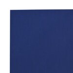 vidaXL Bâche bleu 4x6 m 650 g/m²