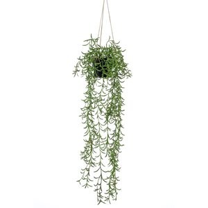 Emerald Buisson suspendu senecio artificiel en pot 70 cm