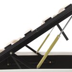 vidaXL Cadre de lit à rangement hydraulique sans matelas 120x200 cm