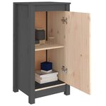 vidaXL Buffets 2 Pièces gris 39x35x80 cm bois massif de pin