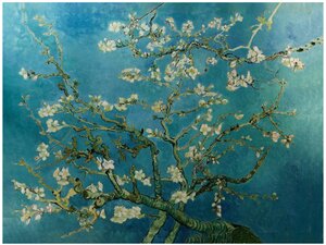 ALMOND BLOSSOM Vincent Van Gogh Pièce 1 Once Argent 1000 Francs Cameroun 2025