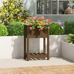 vidaXL Jardinière avec étagère Marron miel 54x34 5x81 cm Bois de pin