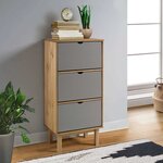 vidaXL Armoire à chaussures OTTA et 3 tiroirs Marron et gris Bois pin