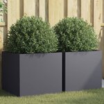 vidaXL Jardinières 2 Pièces anthracite 49x47x46 cm acier laminé à froid