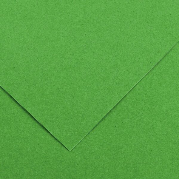 Paquet de 10 feuilles de papier Colorline CANSON 50 x 65 cm 150 g vert franc