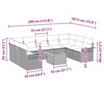 vidaXL Ensemble de Canapé de Jardin 10 Pièces avec Coussins Gris Poly Rattan Acacia