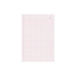 Manifold Quadrillé 5x5 21x14 8cm 50 Feuillets Tripli Autocopiants - X 10 - Exacompta