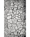 Tapis de salon PEBBLE 200 x 290 cm - Gris