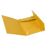 Boite De Classement Cartobox Dos 40mm Carte Lustrée - A4 - Jaune - X 10 - Exacompta