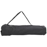 vidaXL Chaise de camping avec poche pliable lot de 2 vert