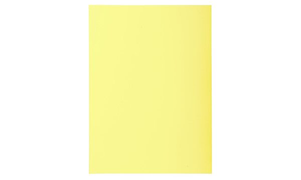 Paquet de 100 sous-chemises SUPER 60g 22x31cm Canari EXACOMPTA