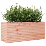 vidaXL Jardinière 110x40x45 5 cm bois massif de douglas