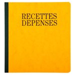 Piqûre 21x19cm Recettes-dépenses 80 Pages - Couleurs Assorties - X 5 - Exacompta