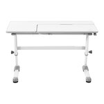 Bureau enfant réglable - 120 x 66 cm - inclinaison : 0 - 50° - hauteur : 600 - 760 mm 14_0005976