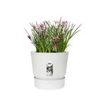 ELHO Pot de fleurs rond Greenville 25 - Extérieur - Ø 24,48 x H 23,31 cm - Blanc