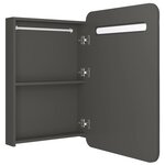 vidaXL Armoire de salle de bain à miroir LED anthracite 60x11x80 cm