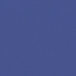 vidaXL Auvent latéral rétractable bleu 200x600 cm