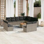 vidaXL Salon de jardin avec coussins 13 Pièces gris résine tressée