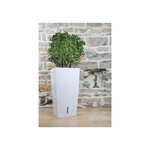 Pot en plastique carré avec réserve d'eau 52 cm eva