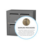 Bloc collectif Leabox  2x2  grade 3  simple face  intérieur  fixation murale  gris poussière ral 7037 finition brillante
