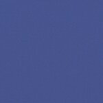 vidaXL Auvent latéral rétractable bleu 220x500 cm