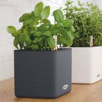 Lechuza jardinière de table cube color 16 all-in-one blanc