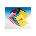 Boîte de 100 pochettes-coin Copy Safe en polypropylène 11/100e rouge ESSELTE