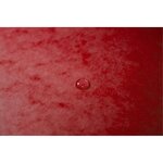 Trieur Extensible Harmonika Sans Élastique Fenêtres Imprimées 7 Compartiments - A4 - Rouge - X 8 - Exacompta