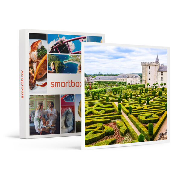 SMARTBOX - Coffret Cadeau Séjour de 2 jours à vélo avec dégustation de vins à travers les châteaux de la Loire -  Séjour