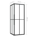 vidaXL Cabine de douche ESG 70x70x180 cm