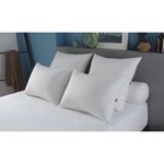 Oreiller grand luxe Quallofil Allerban 60 x 60 cm - Blanc