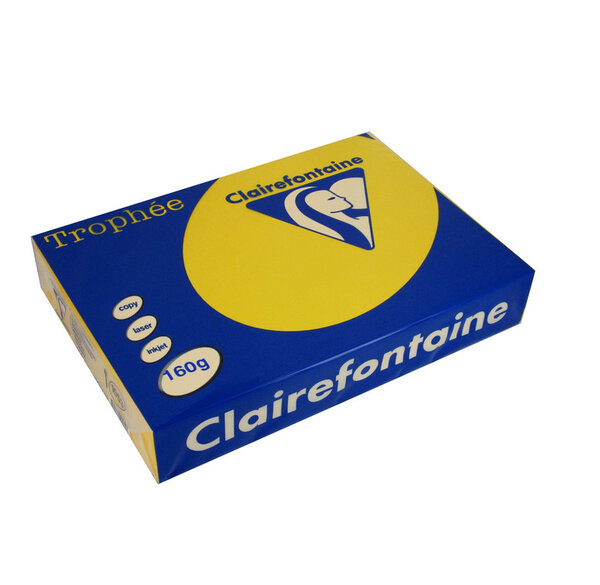 Ramette 250 Feuilles Papier 160g A4 210x297 mm Certifié FSC tournesol TROPHÉE