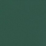 vidaXL Auvent latéral rétractable vert foncé 220x300 cm