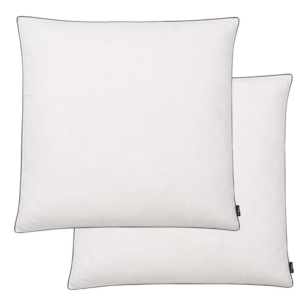 vidaXL Oreiller lot de 2 Remplissage de duvet léger 80 x 80 cm Blanc