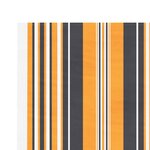 vidaXL Tissu de remplacement pour auvent rayures multicolores 5x3 5 m