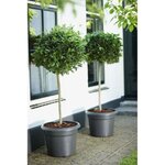 Pot de fleurs Rond - Plastique - Ø 45 - Terre cuite doux