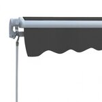 vidaXL Auvent pliable manuel 300 cm Anthracite
