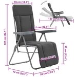 vidaXL Chaises pliables de jardin avec coussins lot de 2 Gris