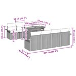 vidaXL Ensemble de Canapés de Jardin 9 Pièces avec Coussins Beige Rattan Acacia
